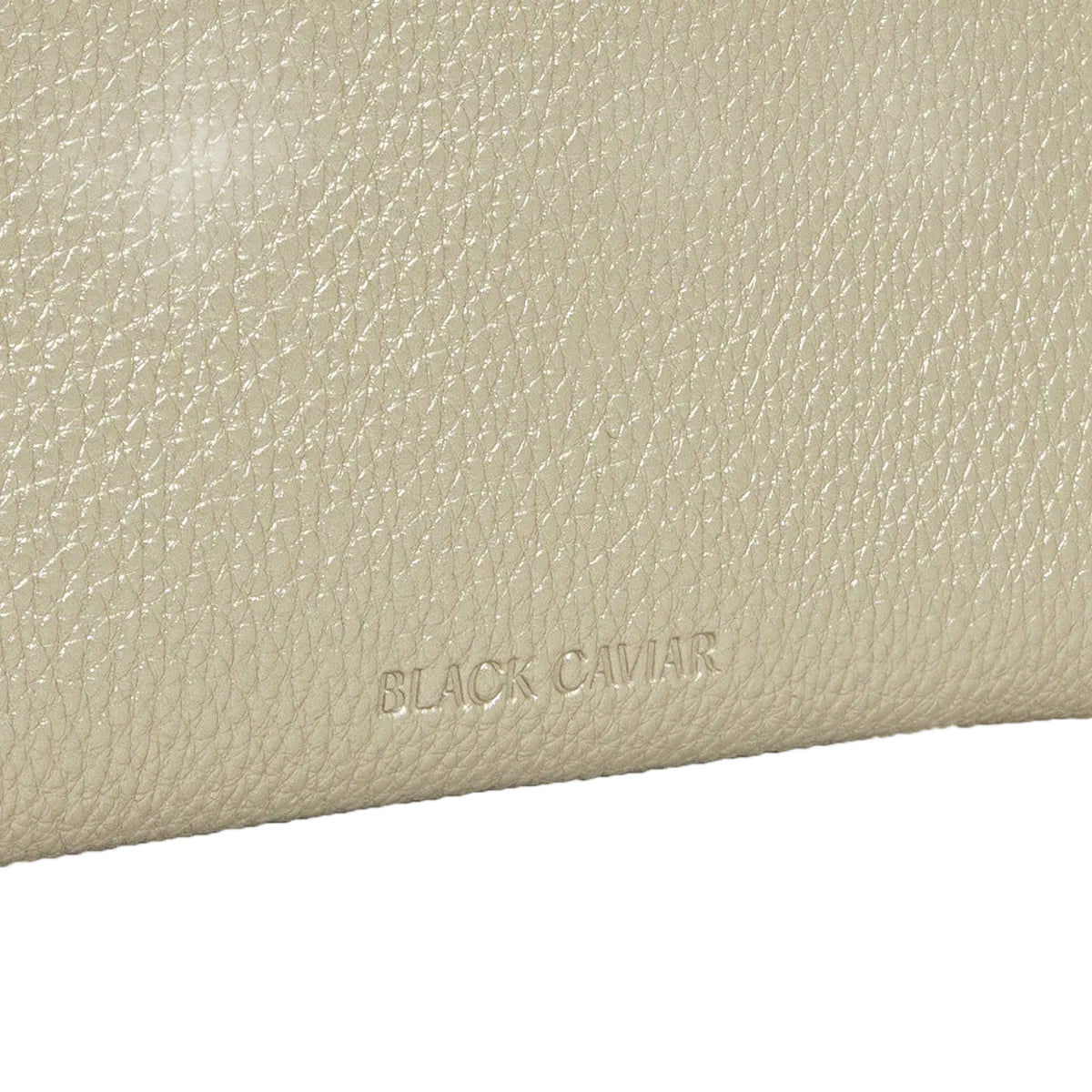 Sia Gold Sunglasses Case